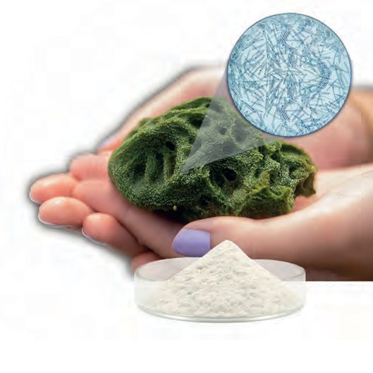 Bio Microneedling Behandlung